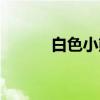 白色小熊（关于白色小熊介绍）