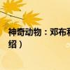 神奇动物：邓布利多之谜（关于神奇动物：邓布利多之谜介绍）