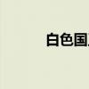 白色国王（关于白色国王介绍）