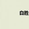 白胜先（关于白胜先介绍）