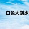 白色大剑水蚤（关于白色大剑水蚤介绍）