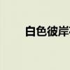 白色彼岸花（关于白色彼岸花介绍）