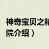神奇宝贝之精灵学院（关于神奇宝贝之精灵学院介绍）
