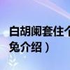 白胡阑套住个迎霜兔(关于白胡阑套住个迎霜兔介绍) 白胡阑套住个迎霜兔(关于白胡阑套住个迎霜兔介绍)