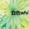 白色white（关于白色white介绍）