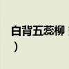 白背五蕊柳 变种（关于白背五蕊柳 变种介绍）