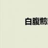白腹鹪鹩（关于白腹鹪鹩介绍）