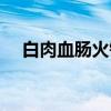 白肉血肠火锅（关于白肉血肠火锅介绍）