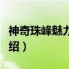 神奇珠峰魅力定日（关于神奇珠峰魅力定日介绍）