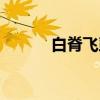 白脊飞虱（关于白脊飞虱介绍）