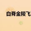 白脊金陵飞虱（关于白脊金陵飞虱介绍）
