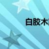 白胶木簓（关于白胶木簓介绍）