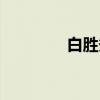 白胜秀（关于白胜秀介绍）