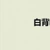 白背叶（关于白背叶介绍）
