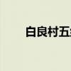 白良村五组（关于白良村五组介绍）