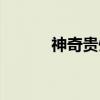 神奇贵州（关于神奇贵州介绍）