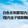白色念珠菌I型内含子核酸酶的折叠及结构（关于白色念珠菌I型内含子核酸酶的折叠及结构介绍）