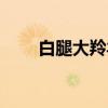 白腿大羚羊（关于白腿大羚羊介绍）