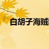 白胡子海贼团(关于白胡子海贼团介绍) 白胡子海贼团(关于白胡子海贼团介绍)