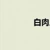 白肉片（关于白肉片介绍）