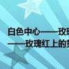 白色中心——玫瑰红上的黄色、粉红及淡紫（关于白色中心——玫瑰红上的黄色、粉红及淡紫介绍）