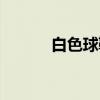 白色球鞋（关于白色球鞋介绍）