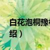 白花泡桐豫林1号（关于白花泡桐豫林1号介绍）