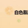 白色脂肪（关于白色脂肪介绍）