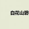 白花山碧桃(关于白花山碧桃介绍) 白花山碧桃(关于白花山碧桃介绍)