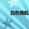 白色领航员（关于白色领航员介绍）