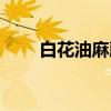 白花油麻藤（关于白花油麻藤介绍）