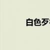 白色歹徒（关于白色歹徒介绍）