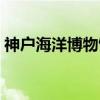 神户海洋博物馆（关于神户海洋博物馆介绍）
