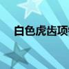 白色虎齿项链（关于白色虎齿项链介绍）