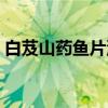 白芨山药鱼片汤（关于白芨山药鱼片汤介绍）