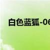 白色蓝狐-064（关于白色蓝狐-064介绍）
