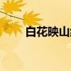 白花映山红（关于白花映山红介绍）