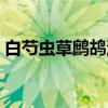 白芍虫草鹧鸪汤（关于白芍虫草鹧鸪汤介绍）