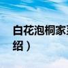 白花泡桐家系5号（关于白花泡桐家系5号介绍）
