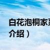 白花泡桐家系16号（关于白花泡桐家系16号介绍）