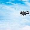 神户盐（关于神户盐介绍）