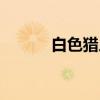 白色猎人（关于白色猎人介绍）