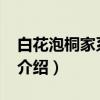 白花泡桐家系25号（关于白花泡桐家系25号介绍）