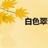 白色翠菊（关于白色翠菊介绍）