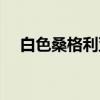 白色桑格利亚(关于白色桑格利亚介绍) 白色桑格利亚(关于白色桑格利亚介绍)