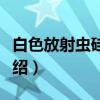白色放射虫硅质岩（关于白色放射虫硅质岩介绍）