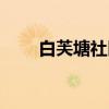 白芙塘社区(关于白芙塘社区介绍) 白芙塘社区(关于白芙塘社区介绍)