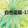 白色蓝狐-136（关于白色蓝狐-136介绍）