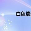 白色遗迹（关于白色遗迹介绍）