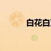 白花白芨（关于白花白芨介绍）